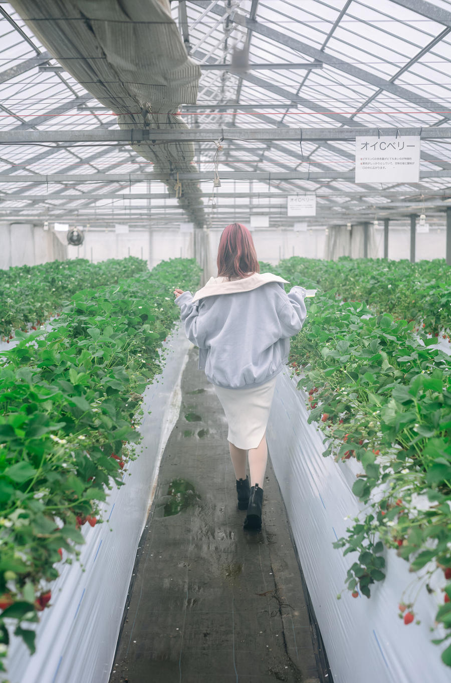 No.108 - Strawberry Picking Date [34P 2V]-COS基地